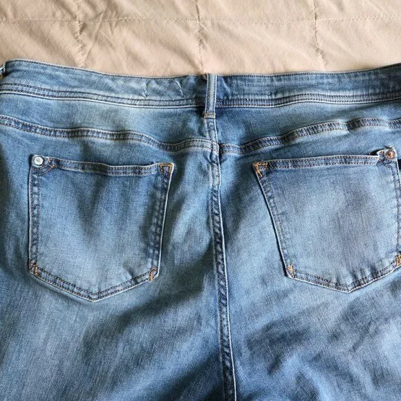 Anthropologie Pilcro Slim Boyfriend Jeans Plus 20W - Picture 2 of 11